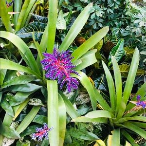 Meet your Posher, Valerie